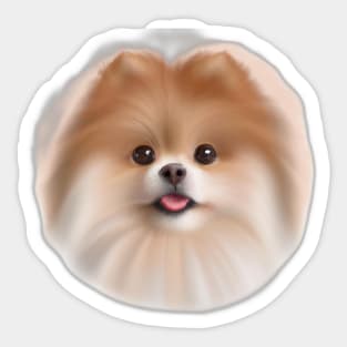 Cute Pomeranian Drawing Sticker